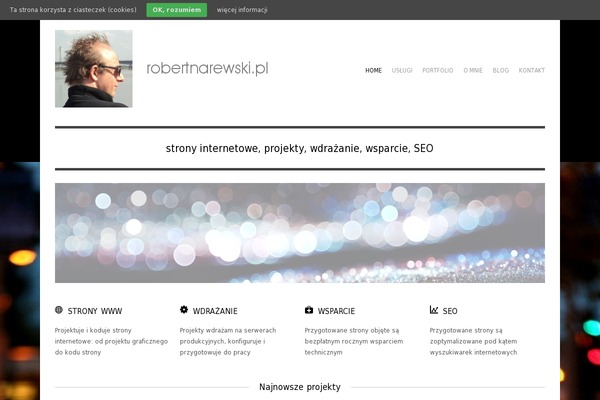 Adapt Child theme websites examples