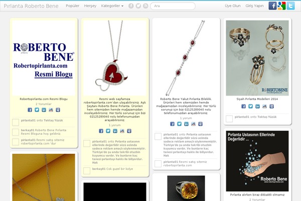 Pinclone theme site design template sample