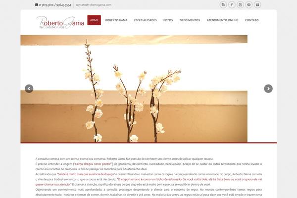 SoulMedic theme site design template sample