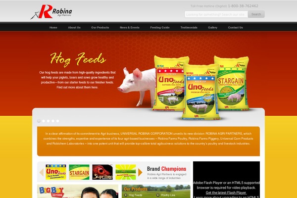 Site using Under Construction / Maintenance Mode from Acurax plugin