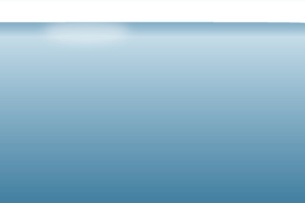 robisonortho.com site used Robison