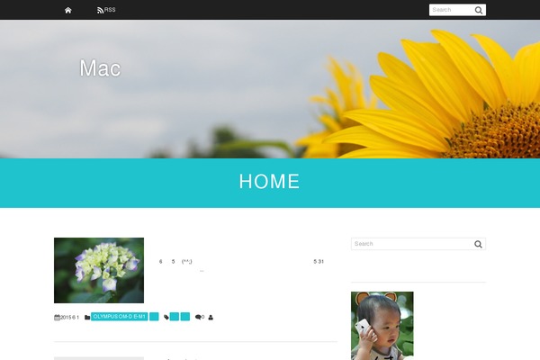 El-Plano theme site design template sample
