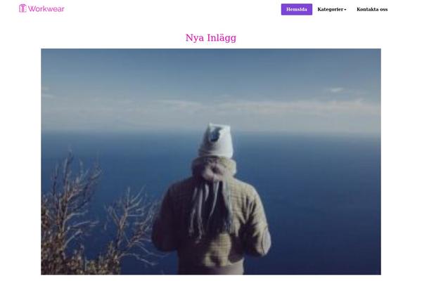 Appointment theme site design template sample