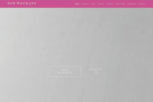Visia theme site design template sample