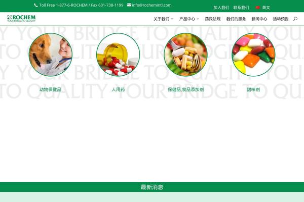 Divi-2 theme site design template sample