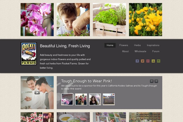 rocketfarms.com site used Rfi