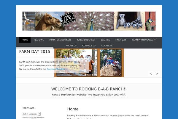 Catch Everest theme site design template sample