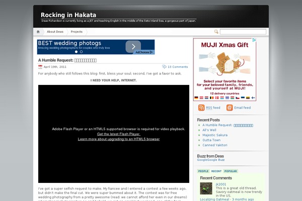 Site using FLV Embed plugin