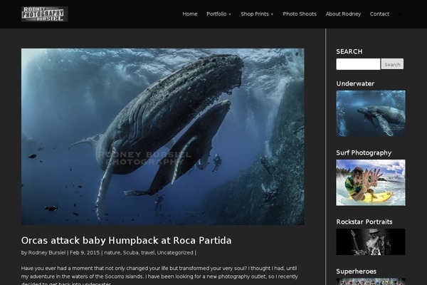 Divi-2.0 theme site design template sample
