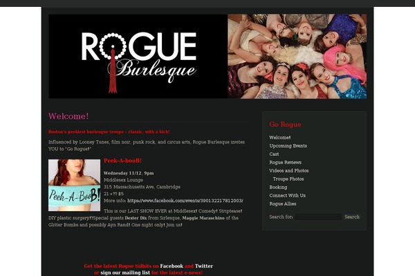 Aurora theme site design template sample