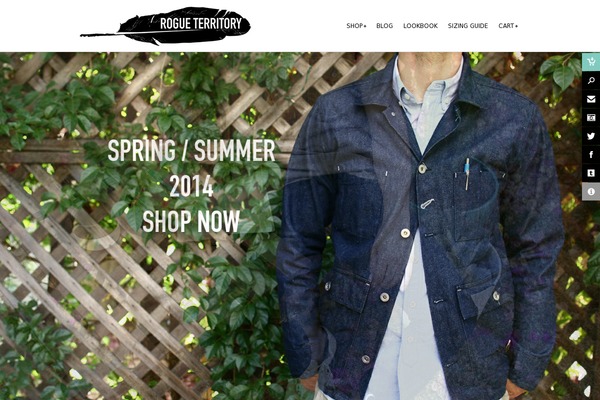 forte-child theme websites examples