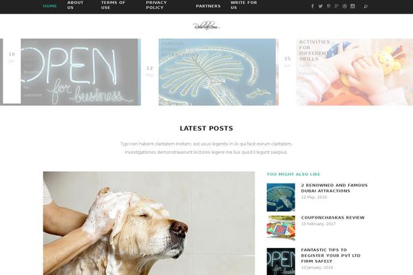 Bridge Child theme site design template sample