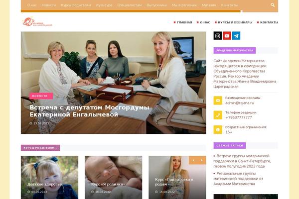 Citynews2-child-theme theme site design template sample