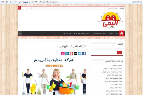 Sahifa theme site design template sample