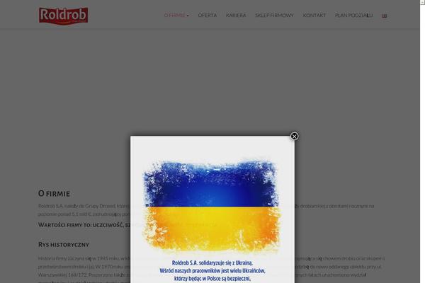 roldrob.com.pl site used Kite