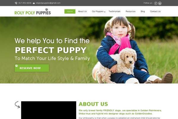 Site using WP Video Lightbox plugin