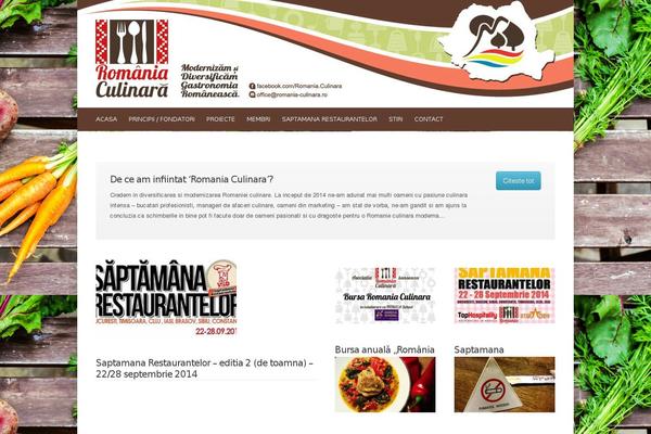 deCente theme site design template sample
