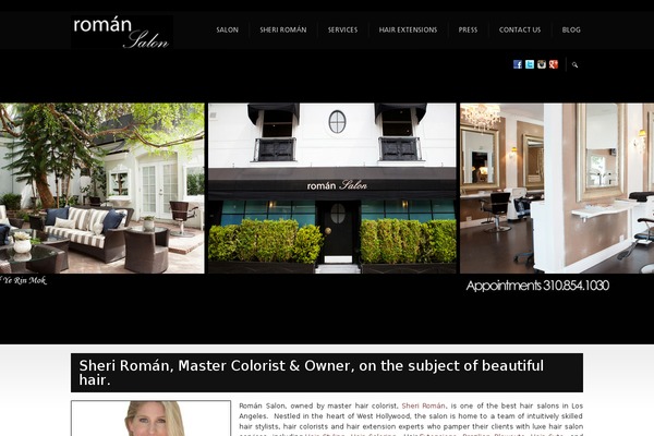Ammon Theme theme site design template sample