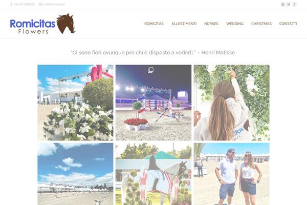 Site using Recent Tweets Widget plugin