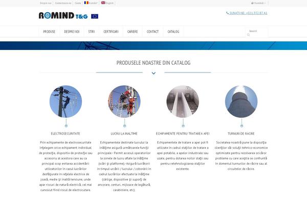 Site using Wpml plugin