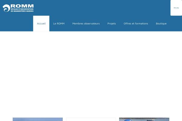 romm.ca site used Betheme_new