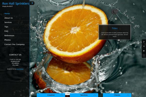 Analytical Lite theme site design template sample