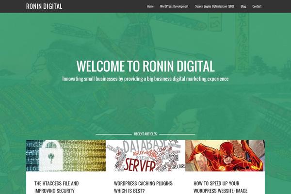 Agency Pro theme site design template sample