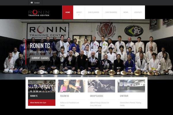 Fit Wp theme site design template sample