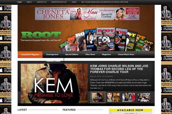 Magazin theme site design template sample