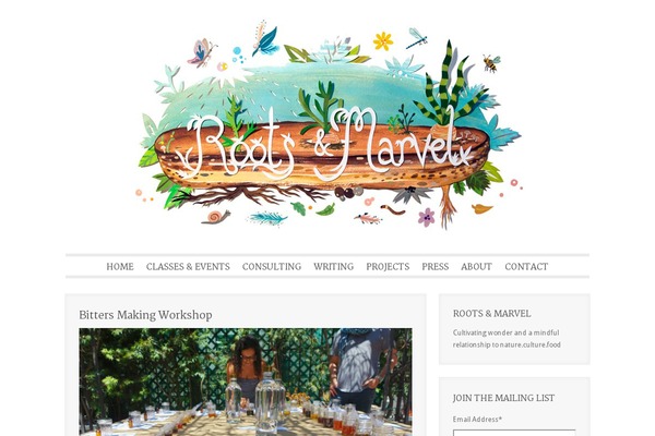 Aviana theme site design template sample