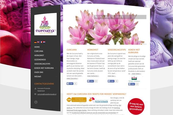RT-Theme 15 theme site design template sample