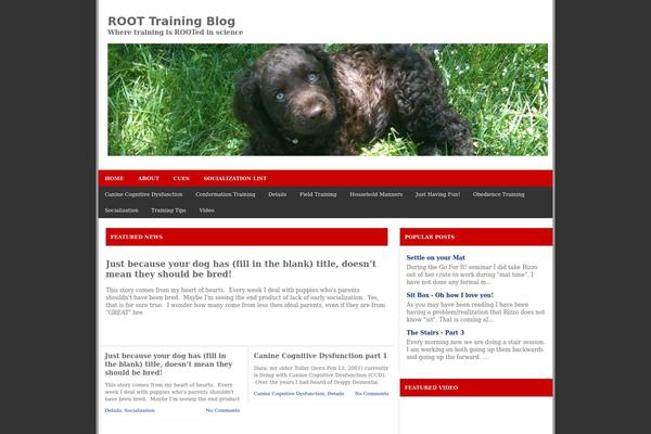 Gemer theme site design template sample