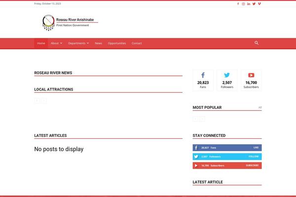 Newspaper Child theme site design template sample