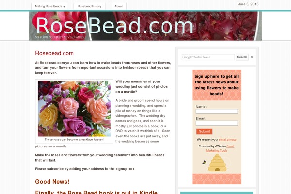Site using Simple Social Icons plugin