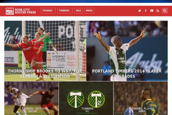 Alison theme site design template sample