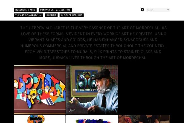 ResponsivePortfolioDessign theme websites examples