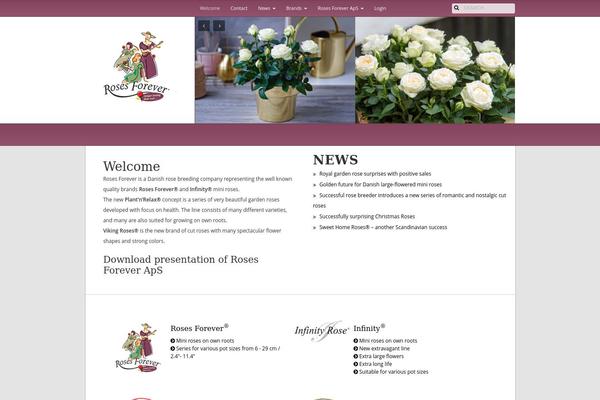 DMS theme site design template sample