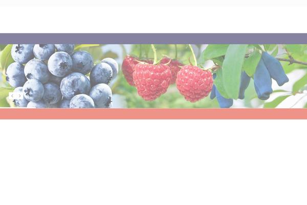 Site using Woo-inpost plugin