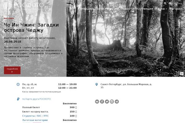 Site using Wp-yandex-metrika plugin