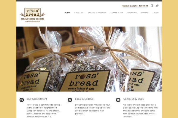 Aries theme site design template sample