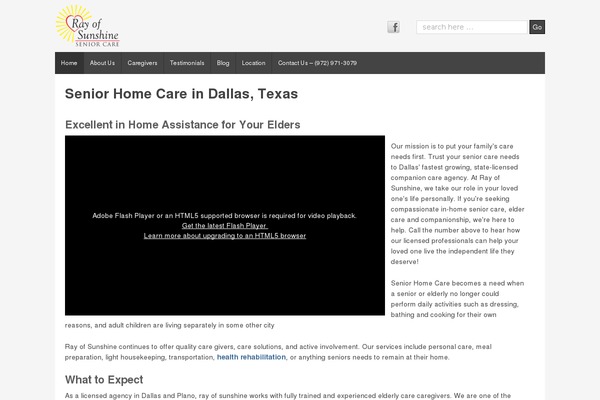 Shell Lite theme site design template sample