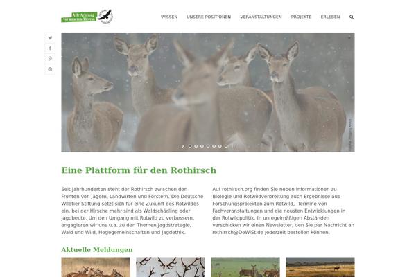 Site using Newsletter2go plugin
