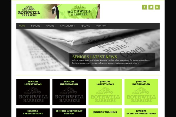 Magazino theme site design template sample