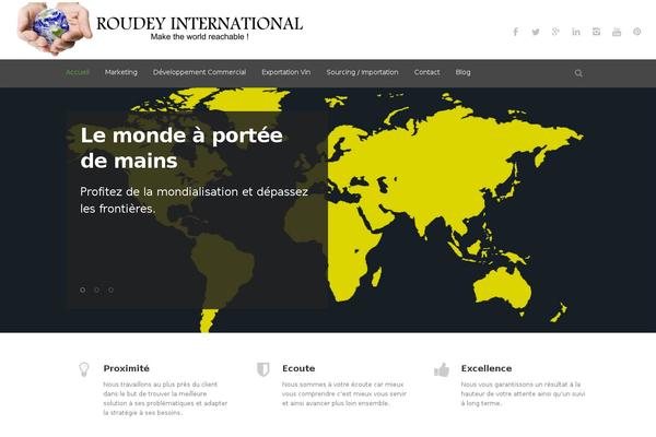 Converio theme site design template sample