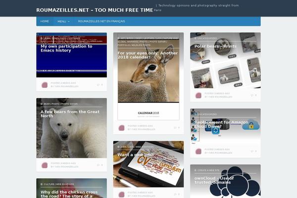 Destin Basic theme site design template sample