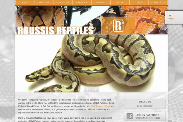 Maxcanvas theme site design template sample