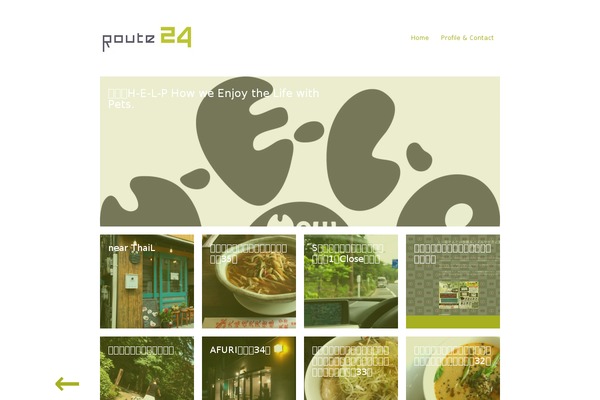 Anima theme site design template sample