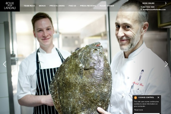 langham theme websites examples