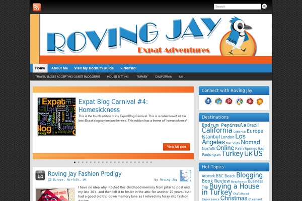 Mintwp theme site design template sample