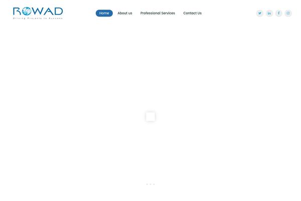 rowadcorp.com site used Consultor